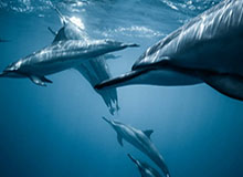 开云部门-穆雷：纳达尔法网纪录后无来者 德纳仍会继续竞争